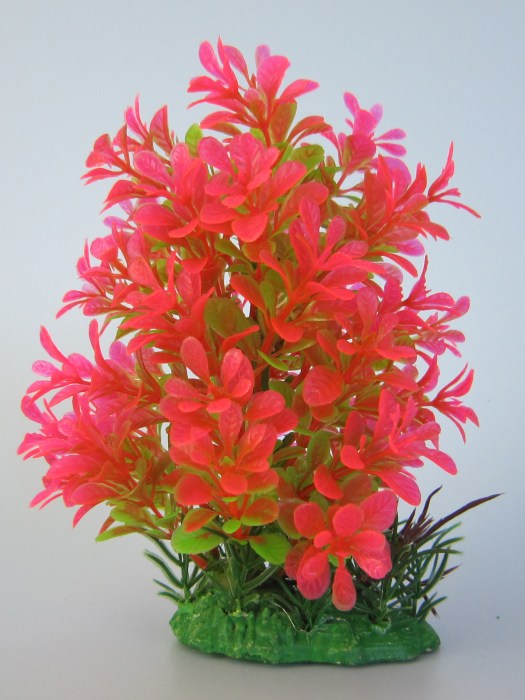 Pflanzen Deluxe M Nr. 1 (18 - 22 cm)