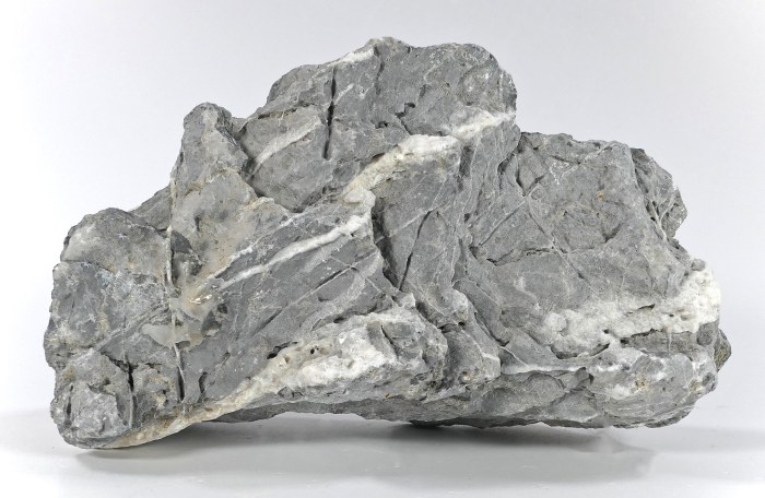 Canyon Rock L (1,5 - 2,5 kg)
