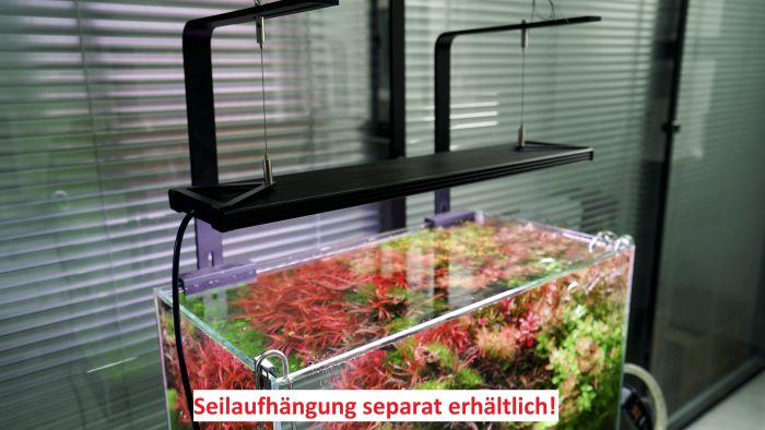 WRGB2 Pro 120 cm (138 W) - DE Version