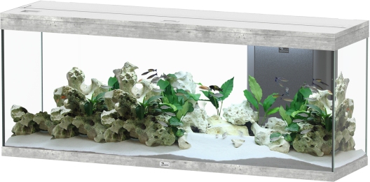 Splendid Ultra 300 Steinoptik Aquarium