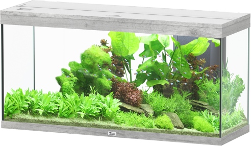 Splendid Ultra 240 Esche Weiß Aquarium