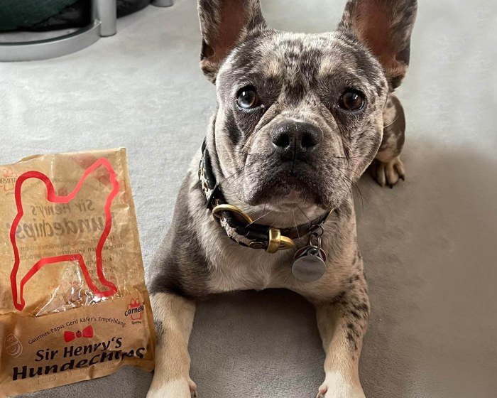 ausgelistet   Hundechips (55 g) /  kein Nachfolger