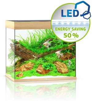 Lido 200 LED helles Holz Aquarium