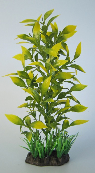 Pflanzen Deluxe L Nr. 4 (25 - 32 cm)