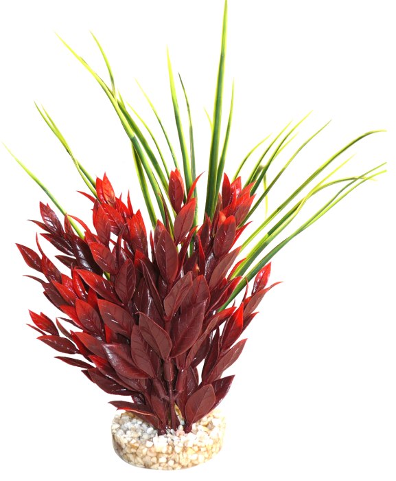 Plante Aqua Jungle rouge 22 cm de haut