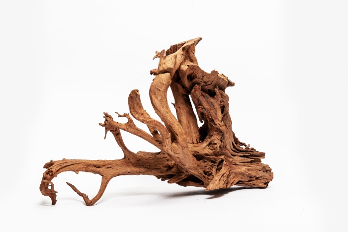 Mangrove XL gestrahlt (70-90 cm)