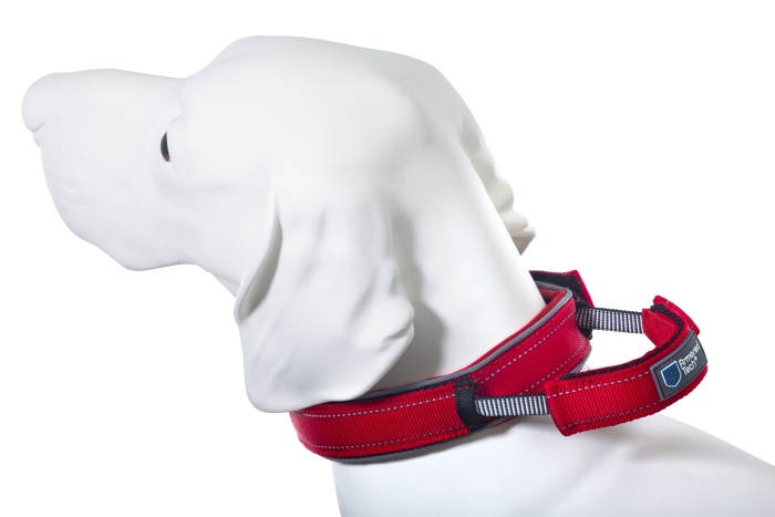 Dog Control Collar S red