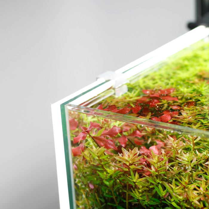 LED Backlight White 35 x 30 cm