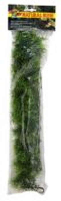 Large Cashuarina Kunststoffpflanze