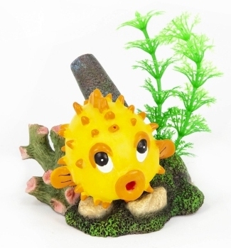 Ballonfisch
