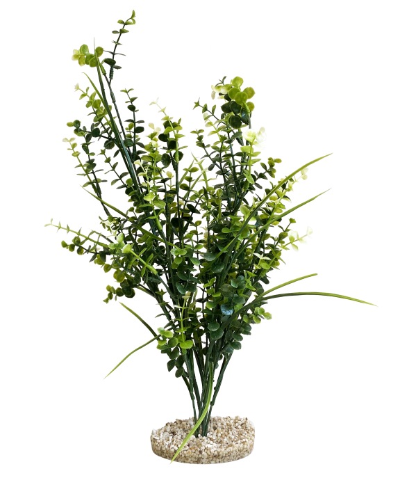 Maxi perle de mer 45 cm de haut [P4]