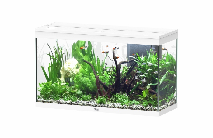 Splendid Ultra 200 Weiß Aquarium