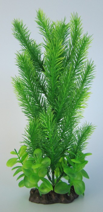 Pflanzen Deluxe L Nr. 7 (25 - 32 cm)