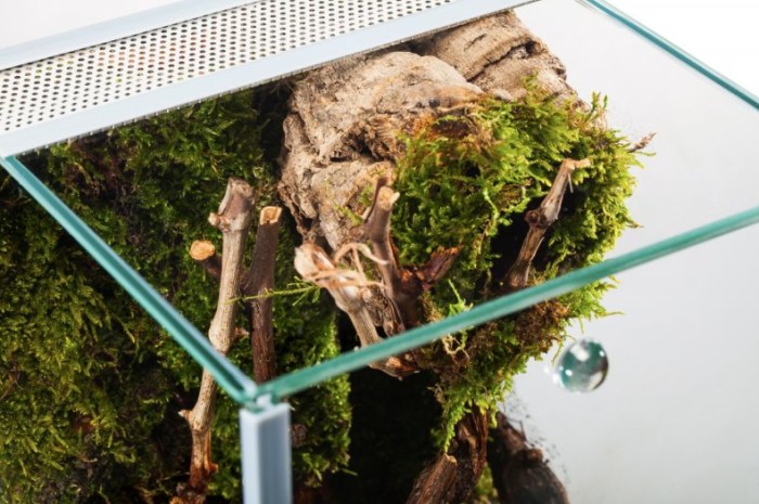 Me Top-Glas Terra Spider (20 x 20 x 20 cm) 3mm