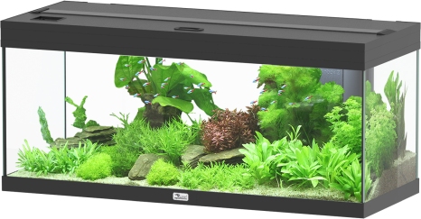 Prestige 100 Schwarz Aquarium