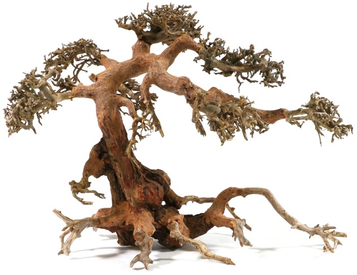 Aqua-Bonsai L (30-40 cm)