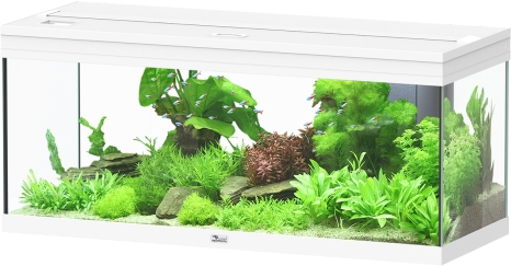 Prestige 100 Weiß Aquarium