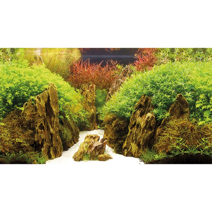 Poster de fond découpé Canyon/Woodland 60x30 cm