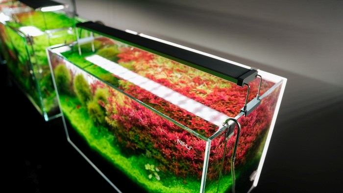 B-Serie 120-140 cm (51,3 W) inkl. Bluetooth - DE Version