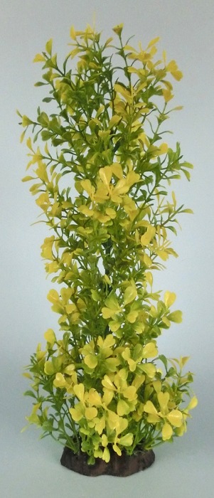 Pflanzen Deluxe XL Nr. 28 (32 - 38 cm)