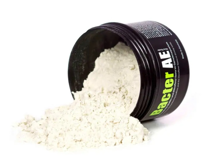 GlasGarten – Bacter AE (70 g)