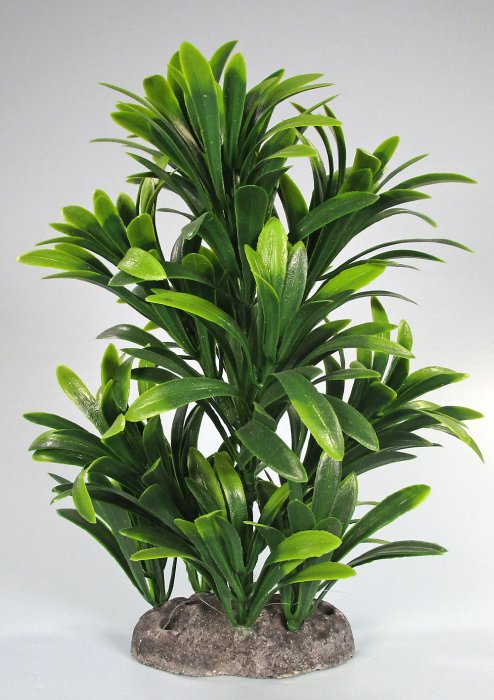 Pflanzen Deluxe M Nr. 33 (18 - 22 cm)