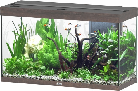 Splendid Ultra 200 Wildeiche Dunkel Aquarium