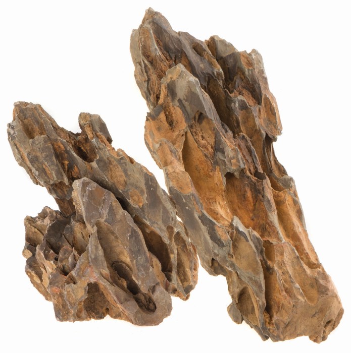 Dinosaurier Stein Mix (20 kg)