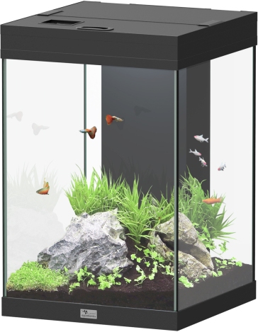 Aqua Tower 96 schwarz Aquarium