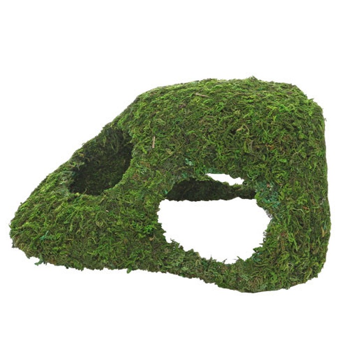 Jungle Cave 4 (25.5 x 14 x 11.5 cm)