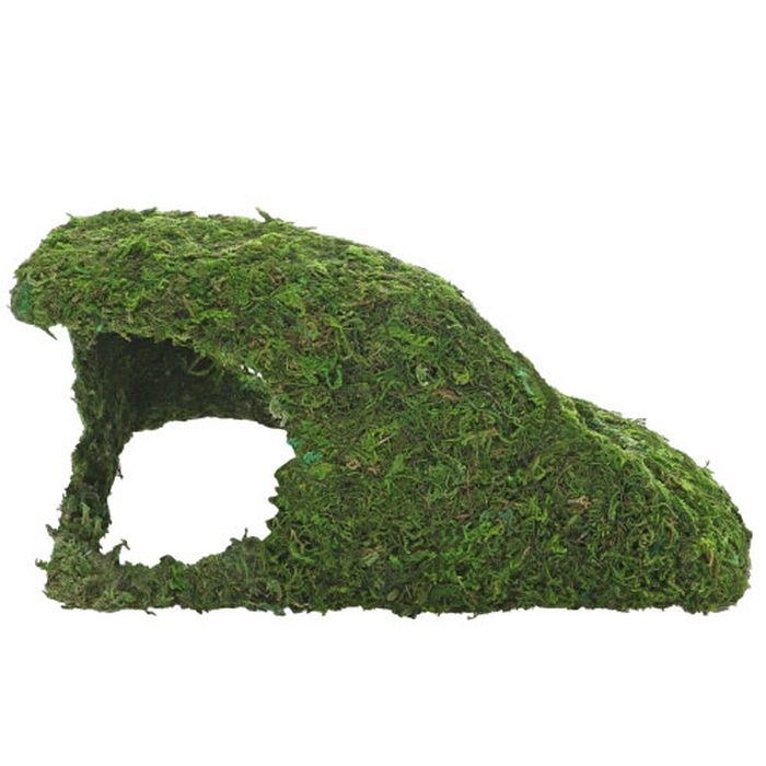 Jungle Cave 4 (25.5 x 14 x 11.5 cm)
