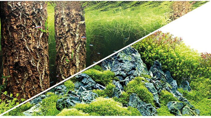 Fotorückwand Scaper's Hill/ Forest (0,6 x 25 m)