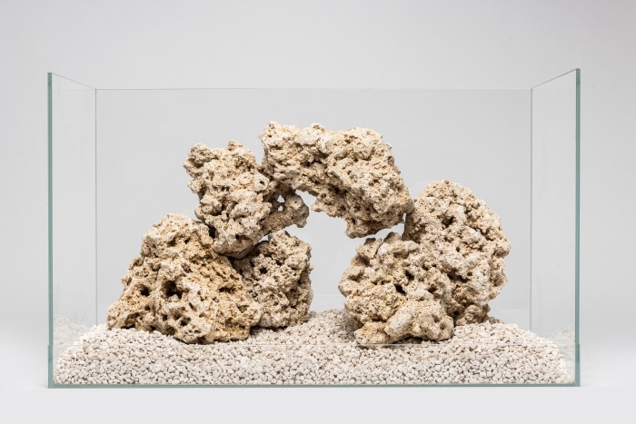 (Save the) Reef Rock Mix (1kg) [P18]