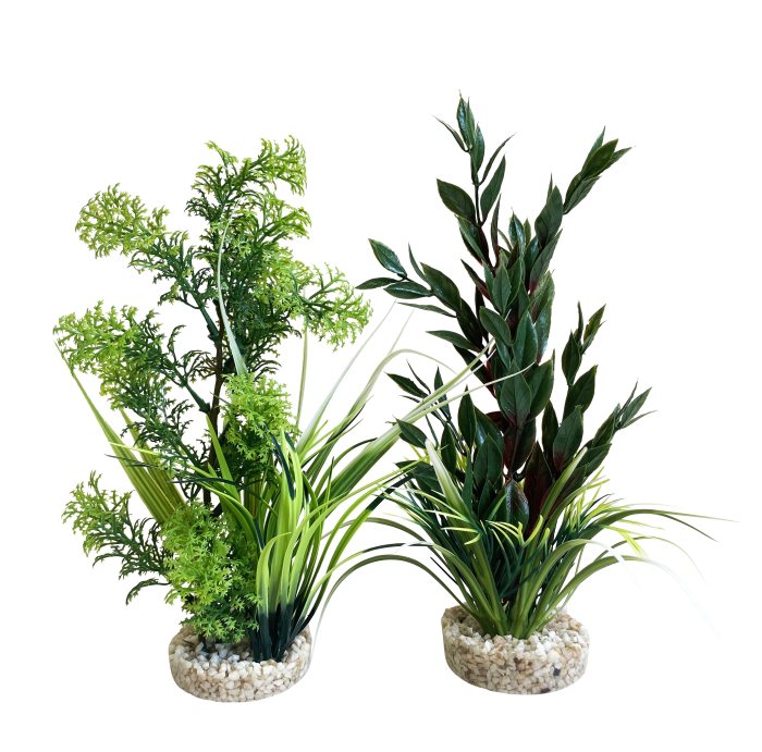 Aquaplant moyen 22 cm de haut [P6]