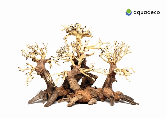 Wald-Bonsai S (30 x 26 x 20 cm)