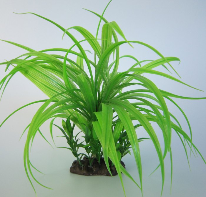 Pflanzen Deluxe L Nr. 1 (25 - 32 cm)