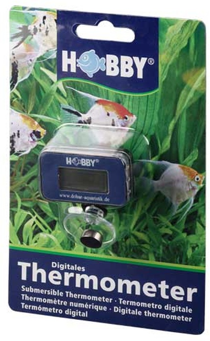 Digitales Thermometer