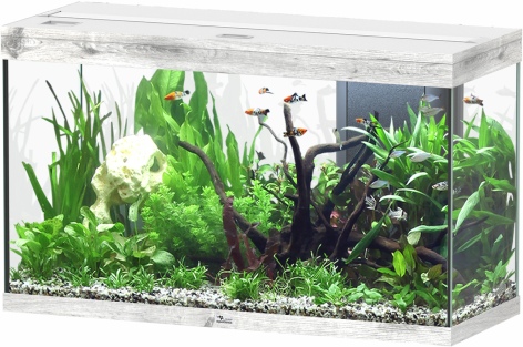 Splendid Ultra 200 Esche Weiß Aquarium