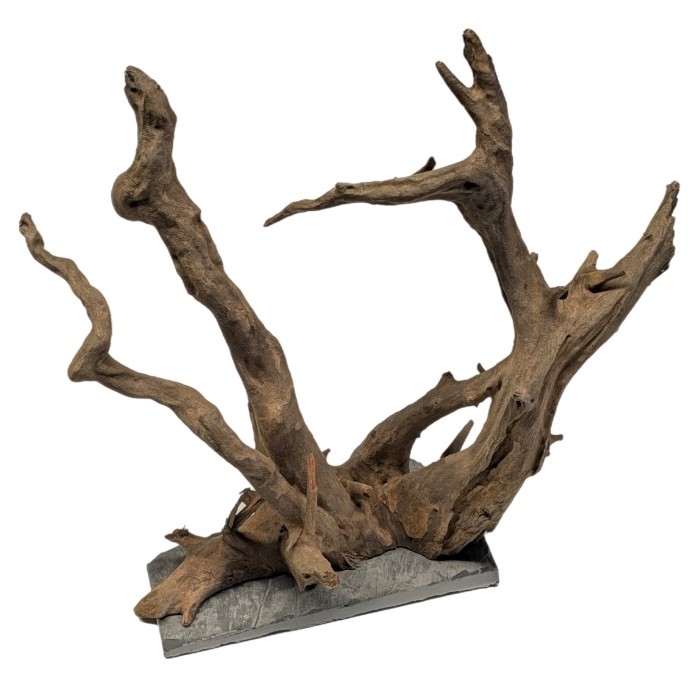 Me Euca Wood on Slate M (28-35 cm) [P6]