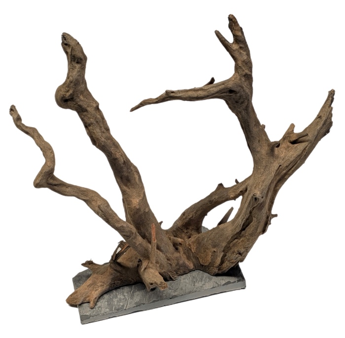 Me Euca Wood on Slate M (28-35 cm) [P6]