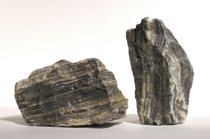 Zebrastein L (4,8-5,2 kg) [P5]