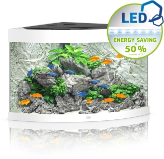 Trigon 190 LED weiß Aquarium Trigon 190 LED weiß Aquarium