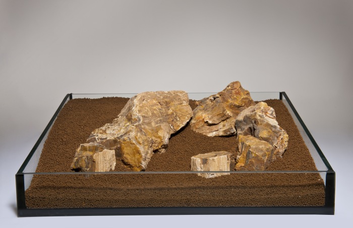 Versteinertes Holz bunt M (2,3-2,7 kg) [P10]