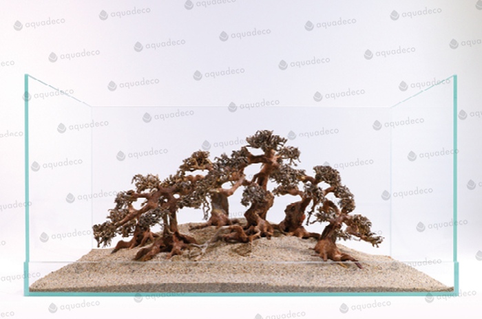 Aqua-Bonsai L (30-40 cm)