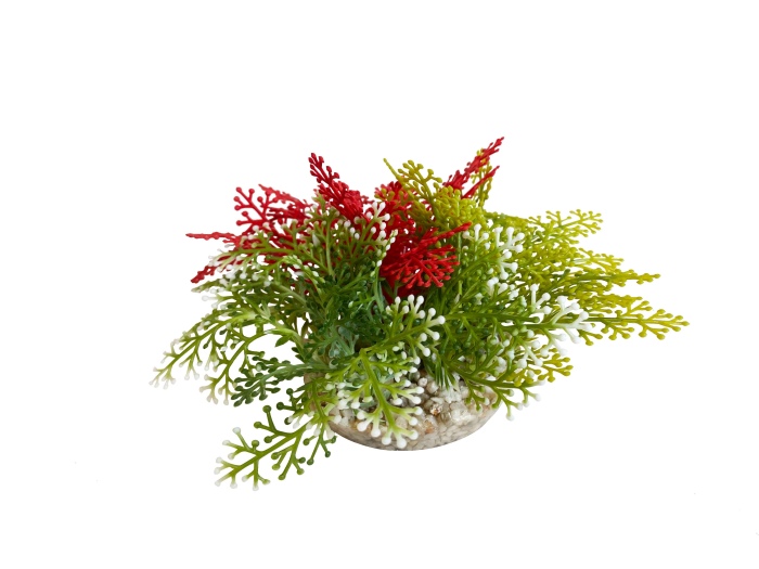 Fiesta mousse L 12 cm de haut [P6]