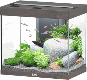 Splendid Ultra 110 Wildeiche Dunkel Aquarium