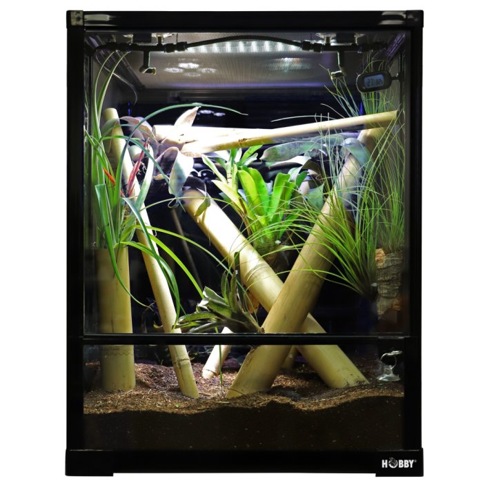 Terrarium Terra Fix & Easy 45 (45 x 45 x 60 cm)