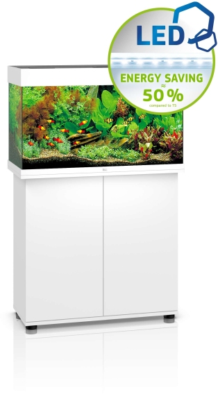 Rio 125 LED SBX weiß Kombination