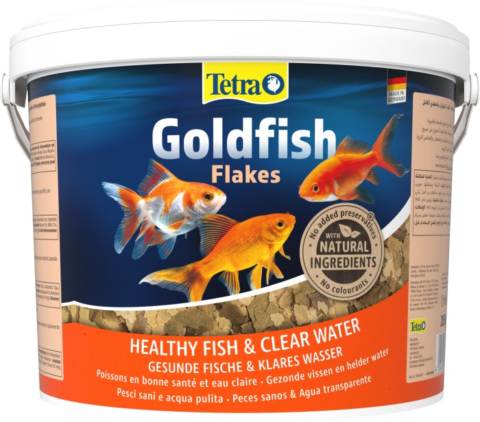 Goldfish (10 L)