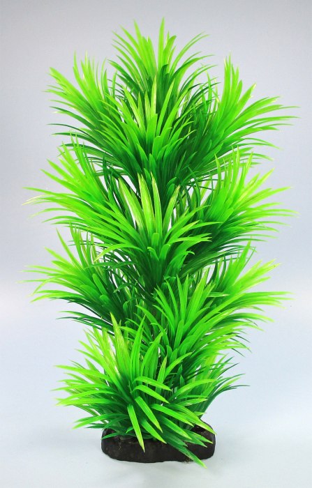 Pflanzen Deluxe L Nr. 37 (25 - 32 cm)